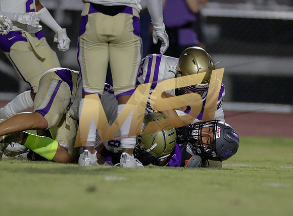 AIA Week 1