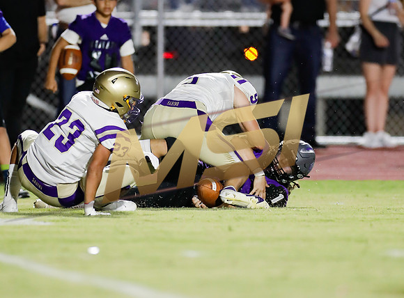 AIA Week 1