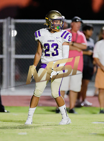 AIA Week 1