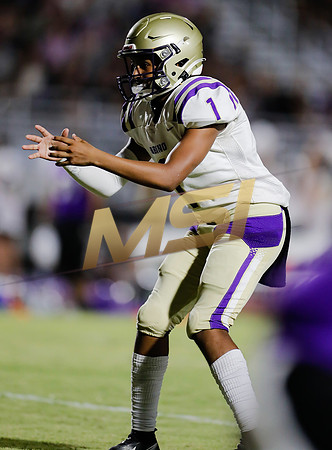 AIA Week 1