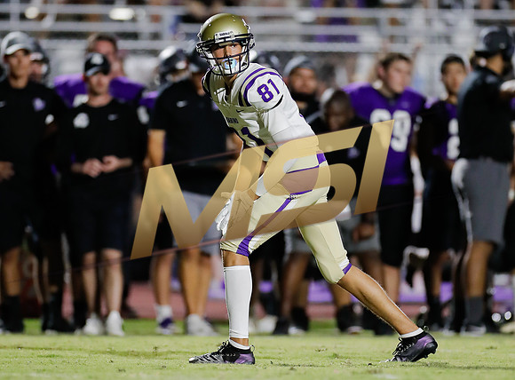 AIA Week 1