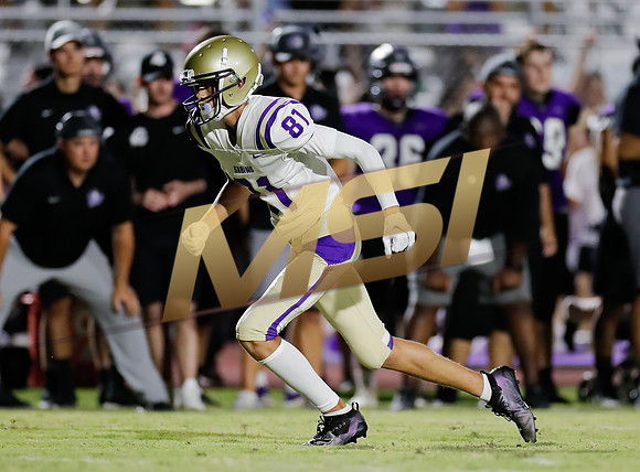AIA Week 1