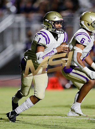 AIA Week 1