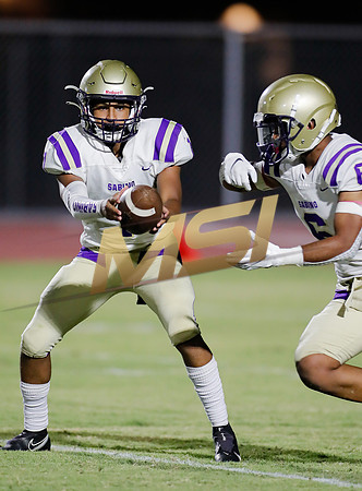 AIA Week 1