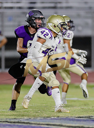 AIA Week 1