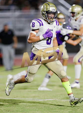AIA Week 1