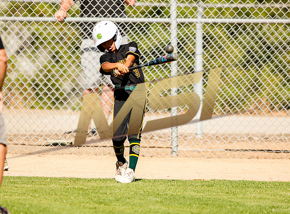 Little League All-Star Baseball All-Star Championship Game