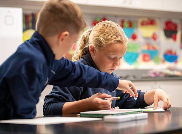 St. Mary-Basha School Images