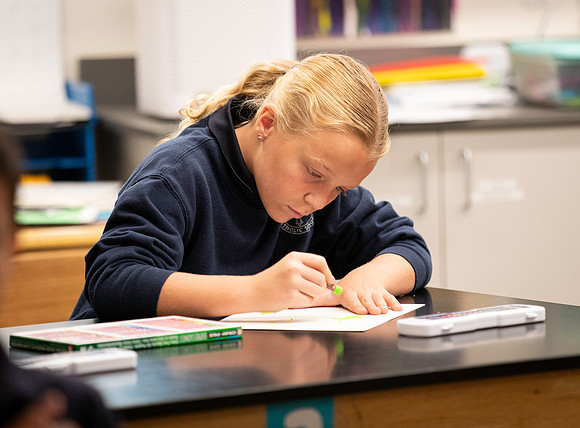 St. Mary-Basha School Images