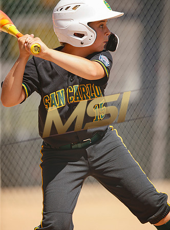 Little League All-Star Baseball All-Star Championship Game