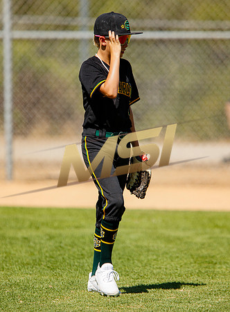 Little League All-Star Baseball All-Star Championship Game