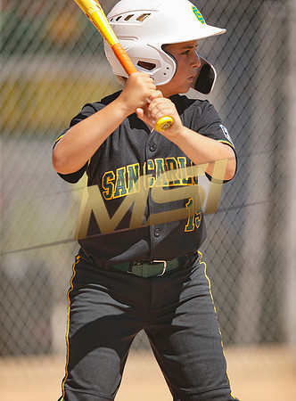 Little League All-Star Baseball All-Star Championship Game