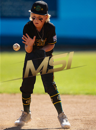 Little League All-Star Baseball All-Star Championship Game