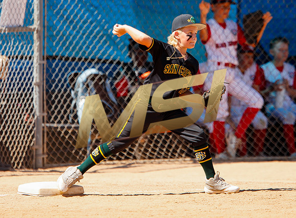 Little League All-Star Baseball All-Star Championship Game