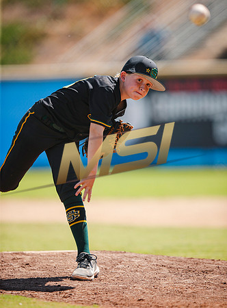 Little League All-Star Baseball All-Star Championship Game