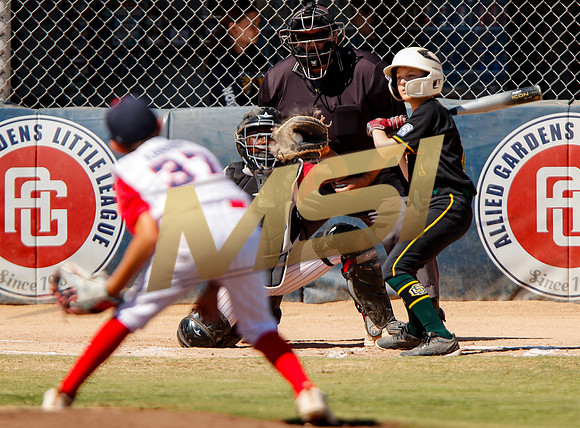 Little League All-Star Baseball All-Star Championship Game