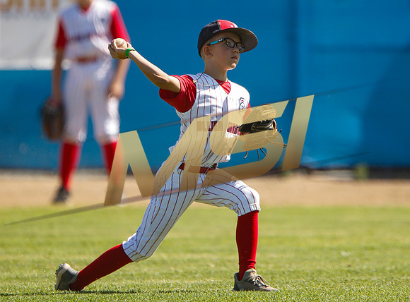 Little League All-Star Baseball All-Star Championship Game