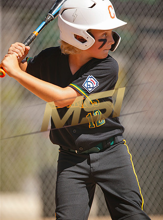 Little League All-Star Baseball All-Star Championship Game