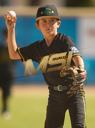 Little League All-Star Baseball All-Star Championship Game