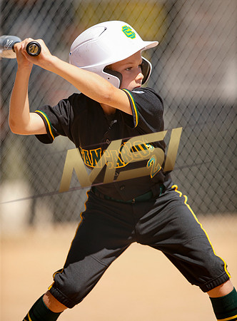 Little League All-Star Baseball All-Star Championship Game
