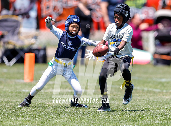 2019 Tournament Circuit - Bay Area June 1 - June 2