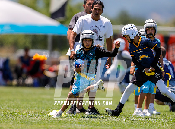2019 Tournament Circuit - Bay Area June 1 - June 2