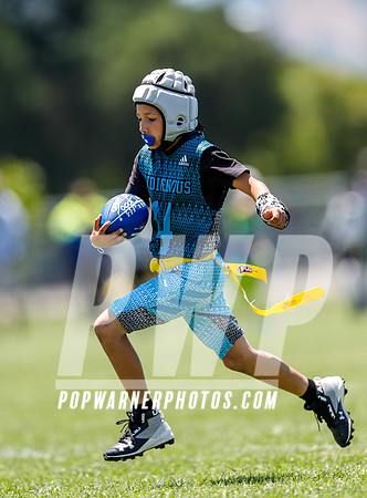 2019 Tournament Circuit - Bay Area June 1 - June 2