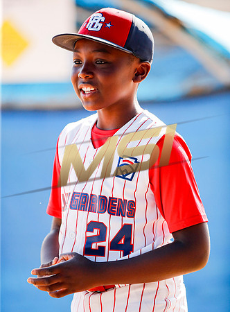 Little League All-Star Baseball All-Star Championship Game