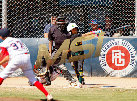 Little League All-Star Baseball All-Star Championship Game