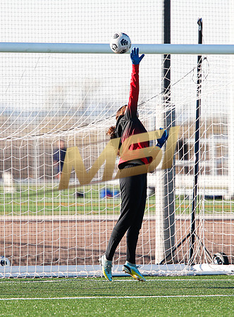 AIA 6A Girls Soccer Hamilton Huskies vs Rosary (Fullerton, CA)