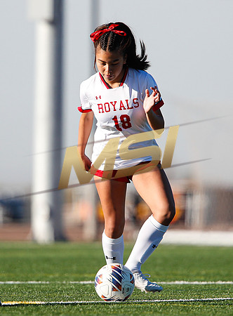 AIA 6A Girls Soccer Hamilton Huskies vs Rosary (Fullerton, CA)