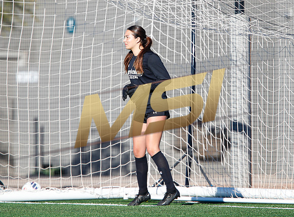 AIA 6A Girls Soccer Hamilton Huskies vs Rosary (Fullerton, CA)