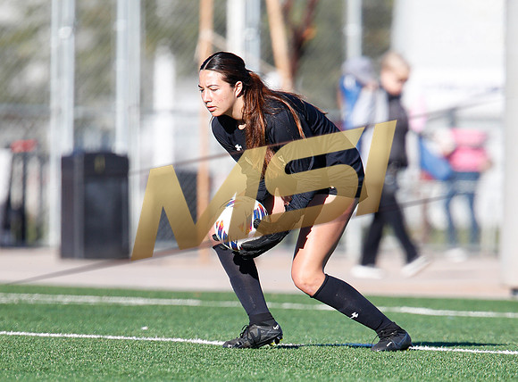 AIA 6A Girls Soccer Hamilton Huskies vs Rosary (Fullerton, CA)
