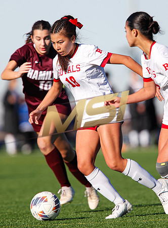 AIA 6A Girls Soccer Hamilton Huskies vs Rosary (Fullerton, CA)