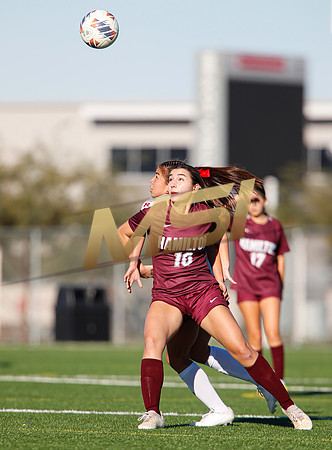 AIA 6A Girls Soccer Hamilton Huskies vs Rosary (Fullerton, CA)