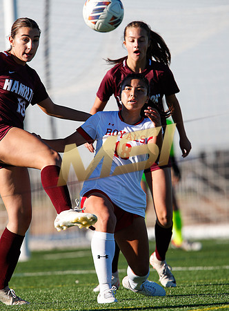 AIA 6A Girls Soccer Hamilton Huskies vs Rosary (Fullerton, CA)