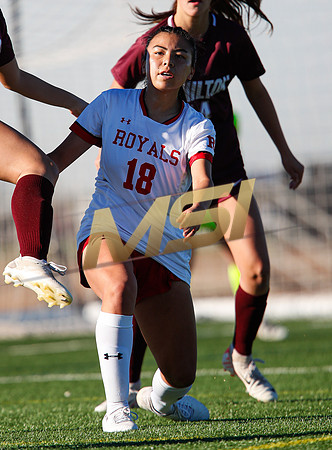 AIA 6A Girls Soccer Hamilton Huskies vs Rosary (Fullerton, CA)