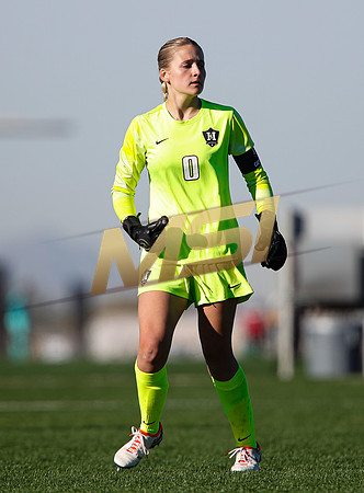 AIA 6A Girls Soccer Hamilton Huskies vs Rosary (Fullerton, CA)
