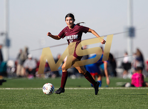 AIA 6A Girls Soccer Hamilton Huskies vs Rosary (Fullerton, CA)