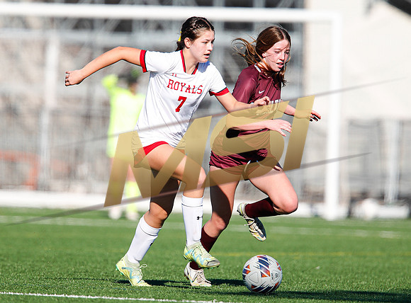 AIA 6A Girls Soccer Hamilton Huskies vs Rosary (Fullerton, CA)