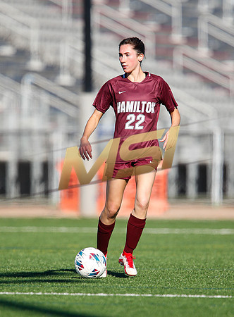 AIA 6A Girls Soccer Hamilton Huskies vs Rosary (Fullerton, CA)