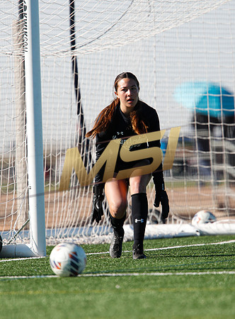 AIA 6A Girls Soccer Hamilton Huskies vs Rosary (Fullerton, CA)