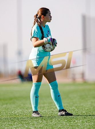 AIA 4A Arizona College Prep  vs Shadow Ridge