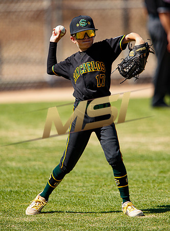 Little League All-Star Baseball All-Star Championship Game