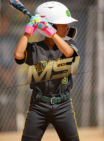 Little League All-Star Baseball All-Star Championship Game