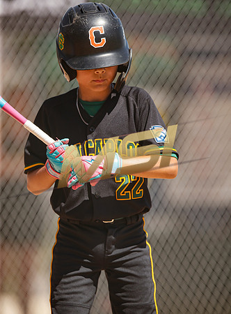 Little League All-Star Baseball All-Star Championship Game