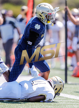 2019 Honor Bowl: Notre Dame Knights vs Desert Vista Thunder