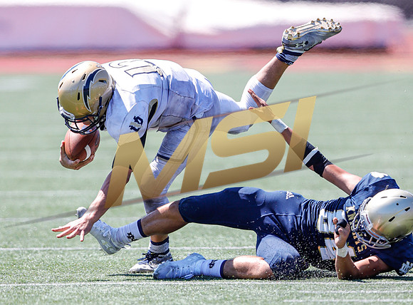 2019 Honor Bowl: Notre Dame Knights vs Desert Vista Thunder