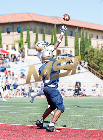2019 Honor Bowl: Notre Dame Knights vs Desert Vista Thunder