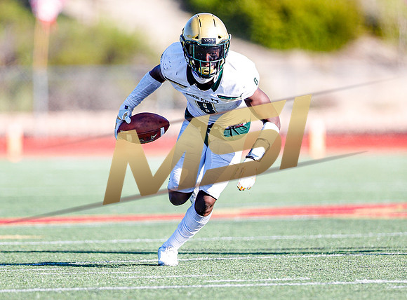 2019 Honor Bowl: JSerra Lions vs St. Joseph Regional Green Knights